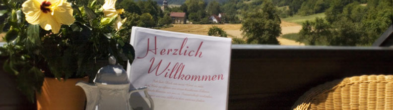 Herzlich Willkommen im Hotel zum Löwen Schwabthal Bad Staffelstein